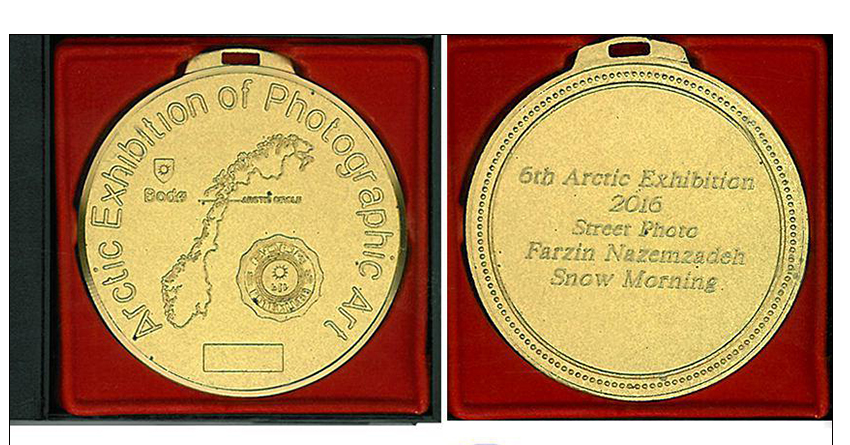 Norwegian Arctic Photo Salon Gold Medal for Snowy Morning Photo 2016 under the auspices of the International Federation of Photography FIAP