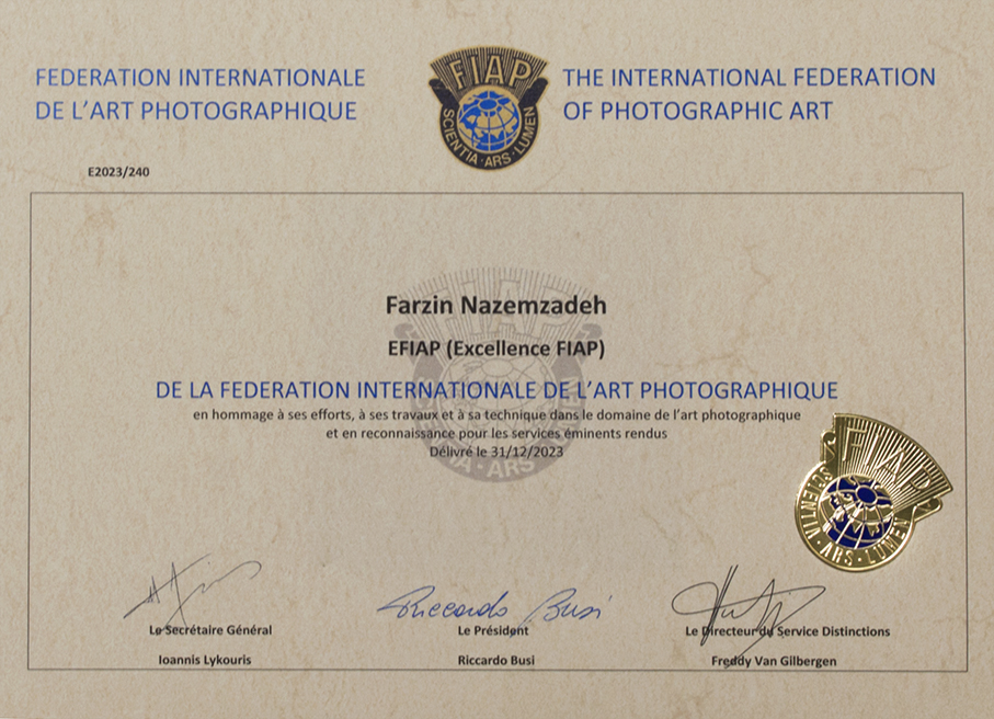 Holder  an Artist FIAP (AFIAP) Distinction from  Internationa Holder an Excellence  FIAP Artist (EFIAP) Distinction from  International Federation of Photographic Art (FIAP) Luxembourg’s